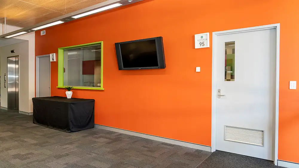 Feature Wall